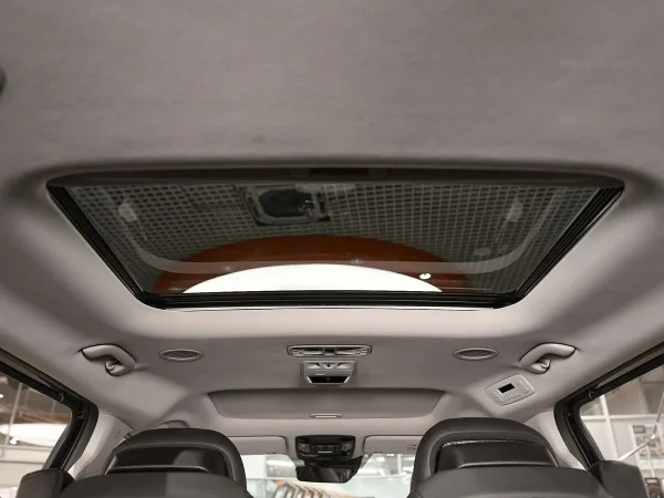 Kia Carnival, IV фото №24