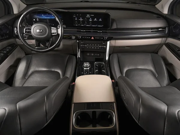Kia Carnival, IV фото №9