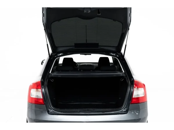 Skoda Octavia, II (A5) Рестайлинг фото №6
