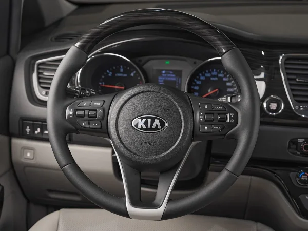 Kia Carnival, III фото №10