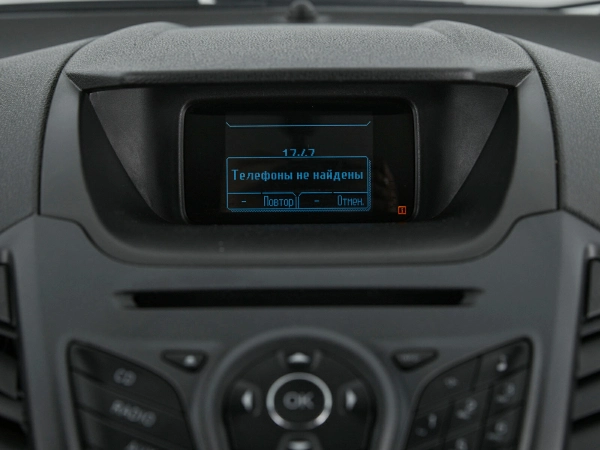 Ford EcoSport, II фото №14