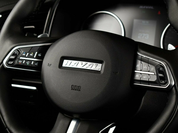 Haval F7x, I фото №8