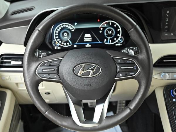 Hyundai Palisade, I фото №11