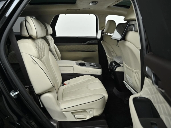 Hyundai Palisade, I фото №13