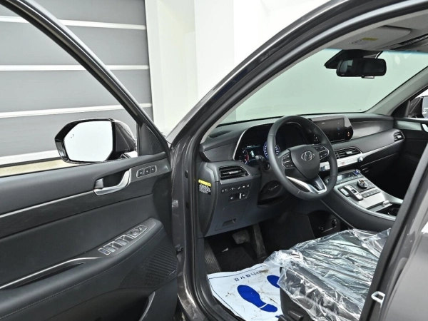 Hyundai Palisade, I фото №10
