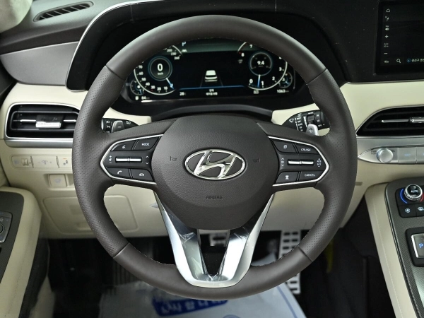 Hyundai Palisade, I фото №10