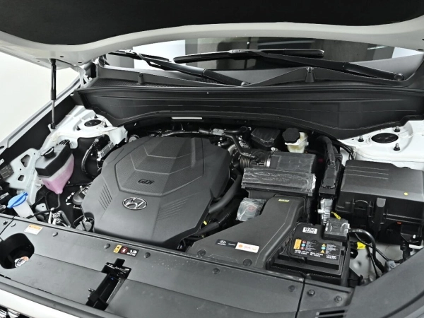 Hyundai Palisade, I фото №5