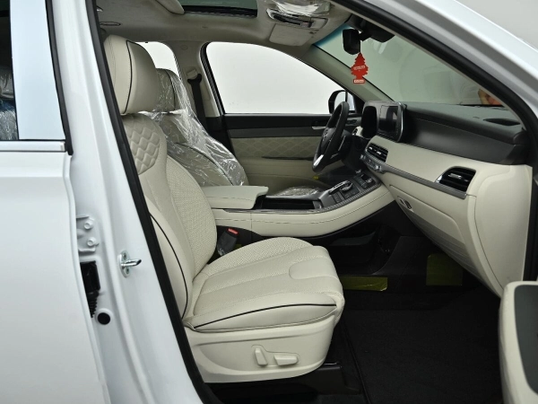 Hyundai Palisade, I фото №8