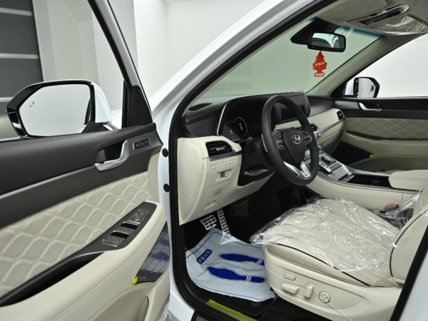 Hyundai Palisade, I фото №9
