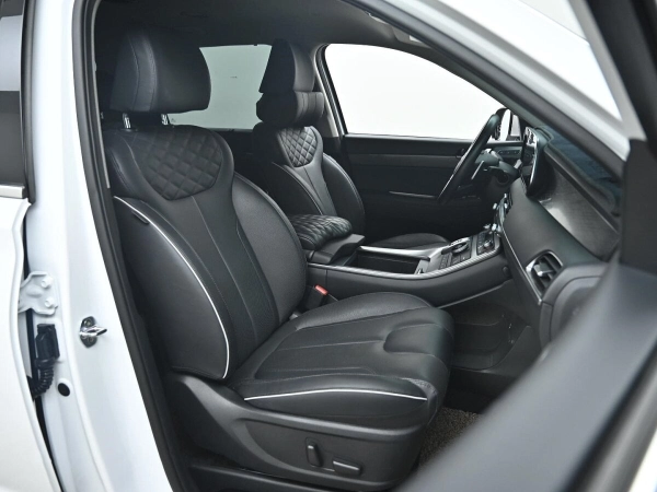 Hyundai Palisade, I фото №8