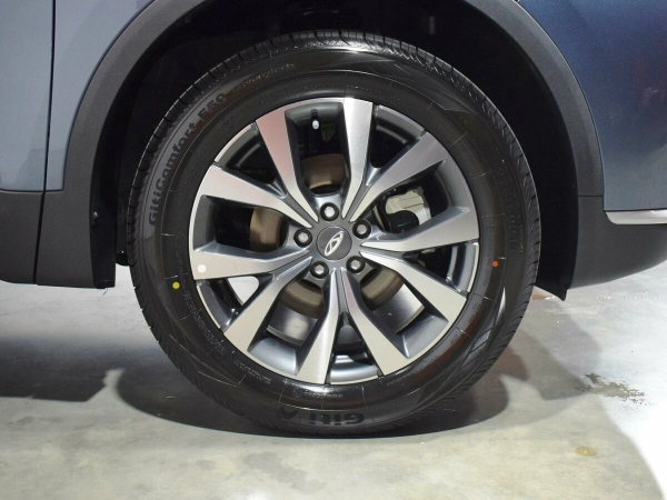 Chery Tiggo 7 Pro, I фото №7