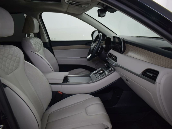 Hyundai Palisade, I фото №9