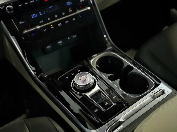 Kia Carnival, IV фото №9
