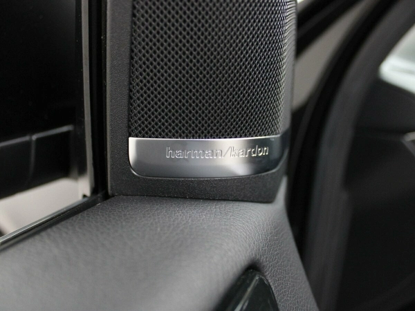 Mercedes-Benz GLS, I (X166) фото №13