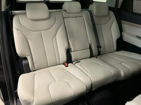 Hyundai Palisade, I фото №12