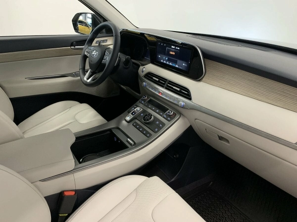 Hyundai Palisade, I фото №8
