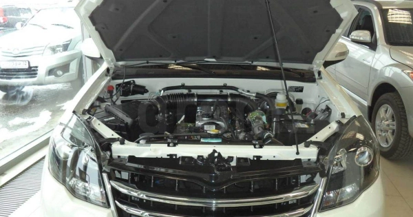 Hover H3 Внедорожник 5 дв. фото №3