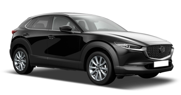 Jet Black Mica