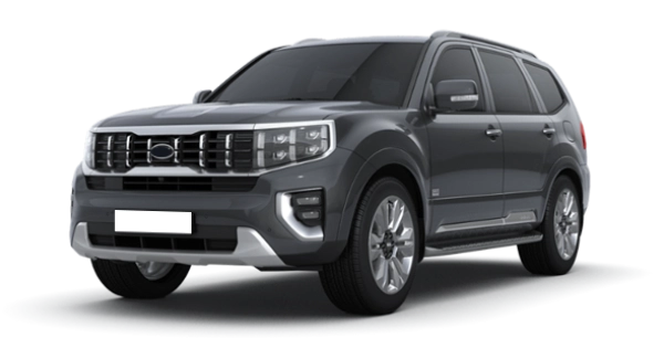 Platinum Graphite