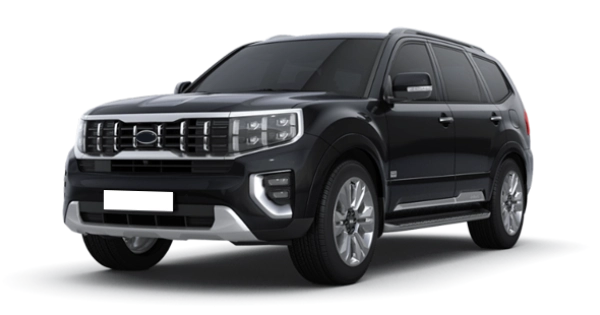 Aurora Black Pearl
