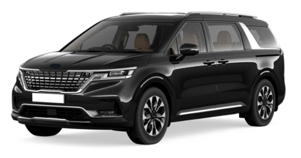 Aurora Black Pearl